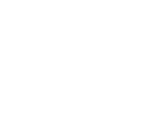 Award - 2025 Expertise Auto
